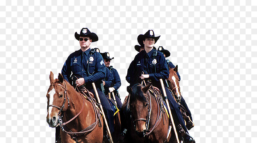 Cheval，Denver Police De Protection Association PNG