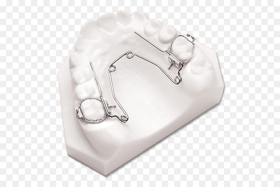 L Orthodontie，Arrêtoir PNG