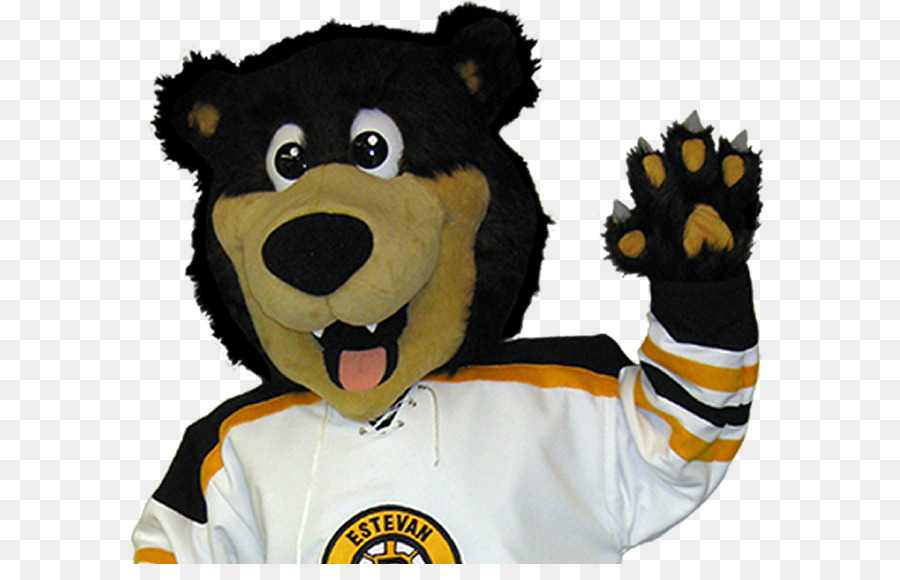 Mascotte，Les Bruins De Boston PNG