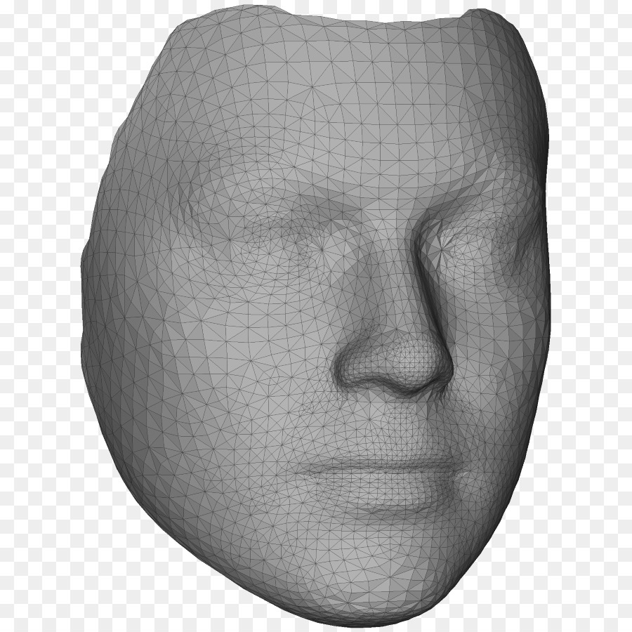 Nez Visage Maille Polygonale Png Nez Visage Maille Polygonale Transparentes Png Gratuit