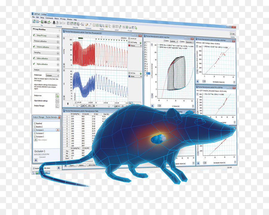 Adinstruments，L University College De Londres PNG