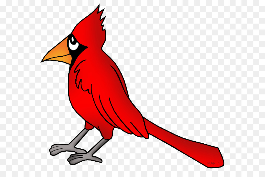 Le Nord Du Cardinal，Oiseau PNG