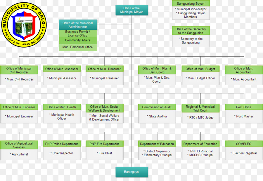 Organigramme，Organisation PNG