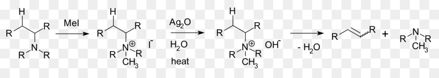 Hofmann élimination，Amine PNG