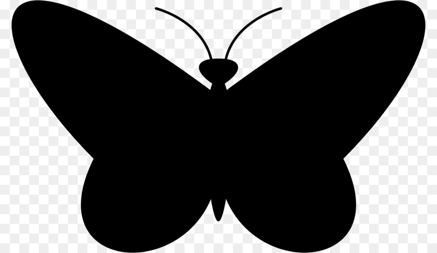 Papillon Noir，Insecte PNG