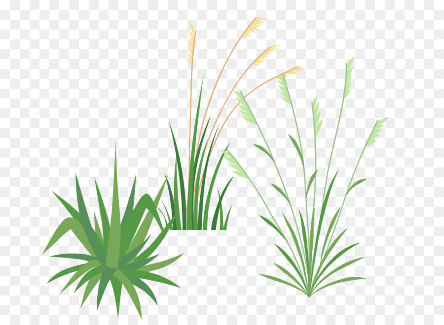 Herbe，Lames PNG