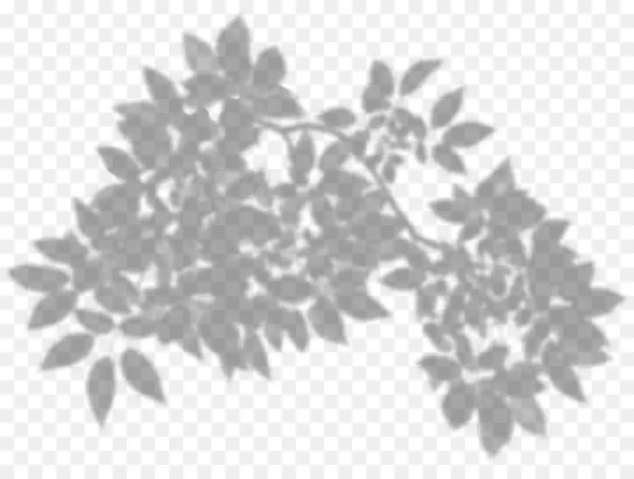 Feuilles，Bifurquer PNG