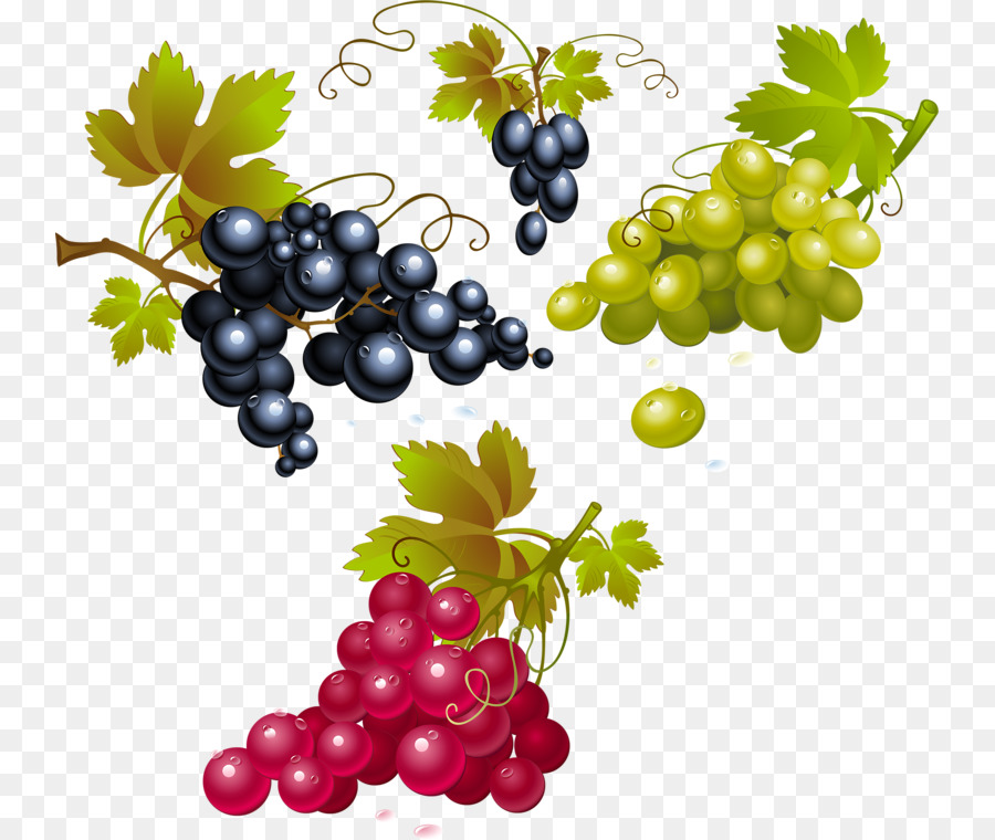 Vin，De Raisins Concord PNG