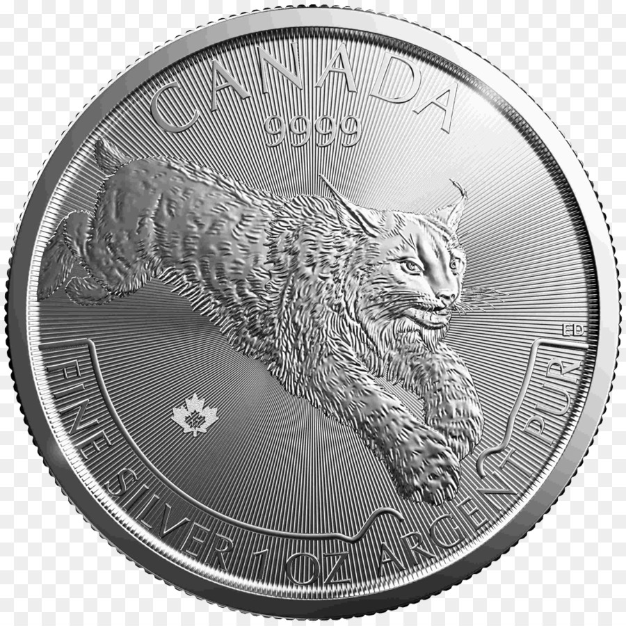 Pièce D'argent，Canada PNG