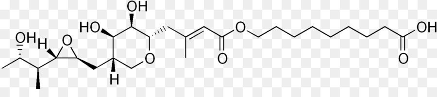 Muramyldipeptide，Les Antibiotiques PNG