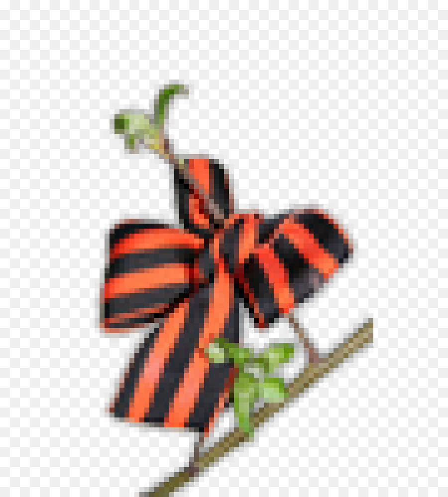 Les Insectes，Orange PNG