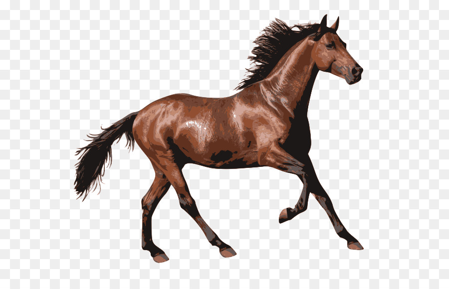 Cheval Ordinateur Icones Les Courses De Chevaux Png Cheval Ordinateur Icones Les Courses De Chevaux Transparentes Png Gratuit