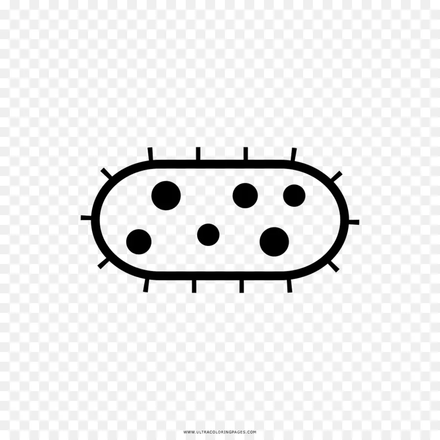 Bactéries，Microbe PNG