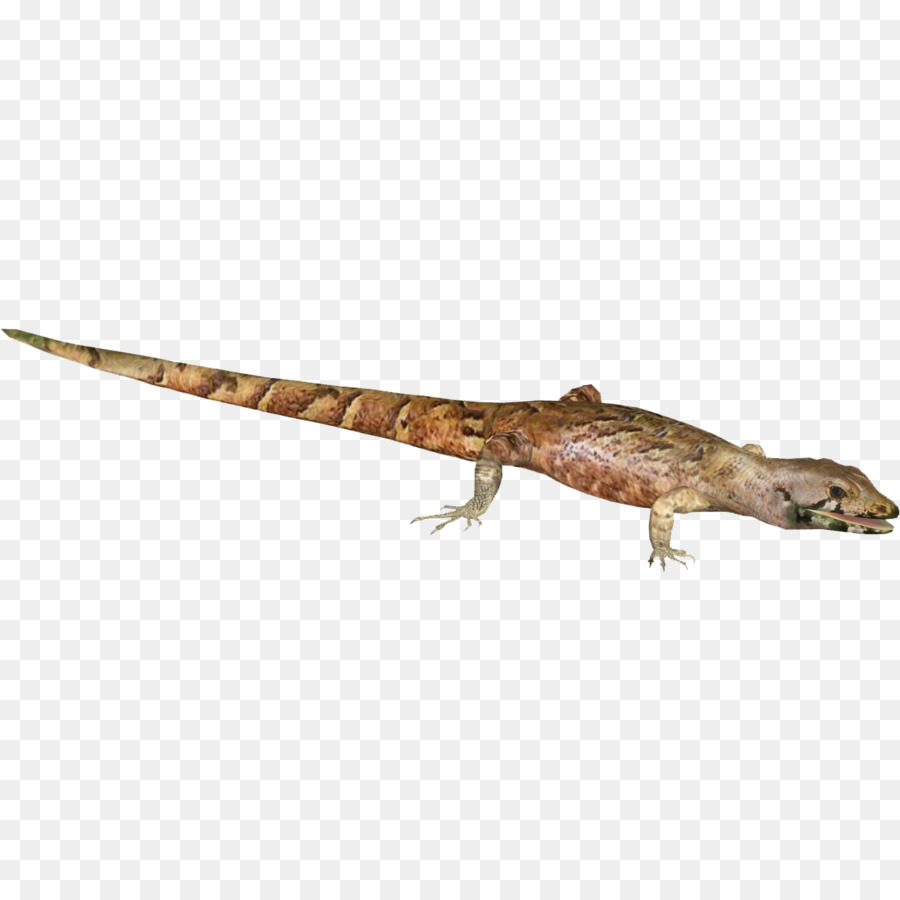 La Religion，Gecko PNG