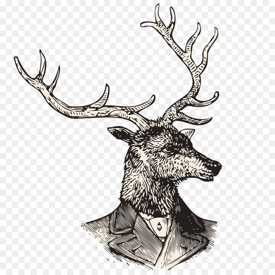 Tête De Cerf，Bois PNG