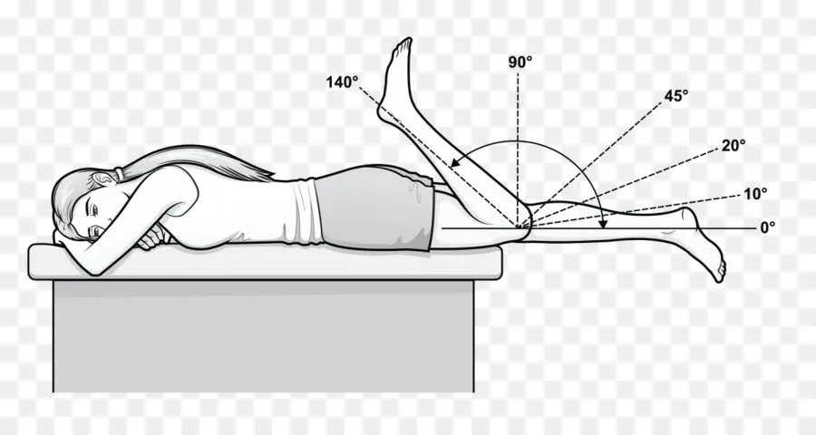 Diagramme D'exercices Pour Les Jambes，Exercice PNG