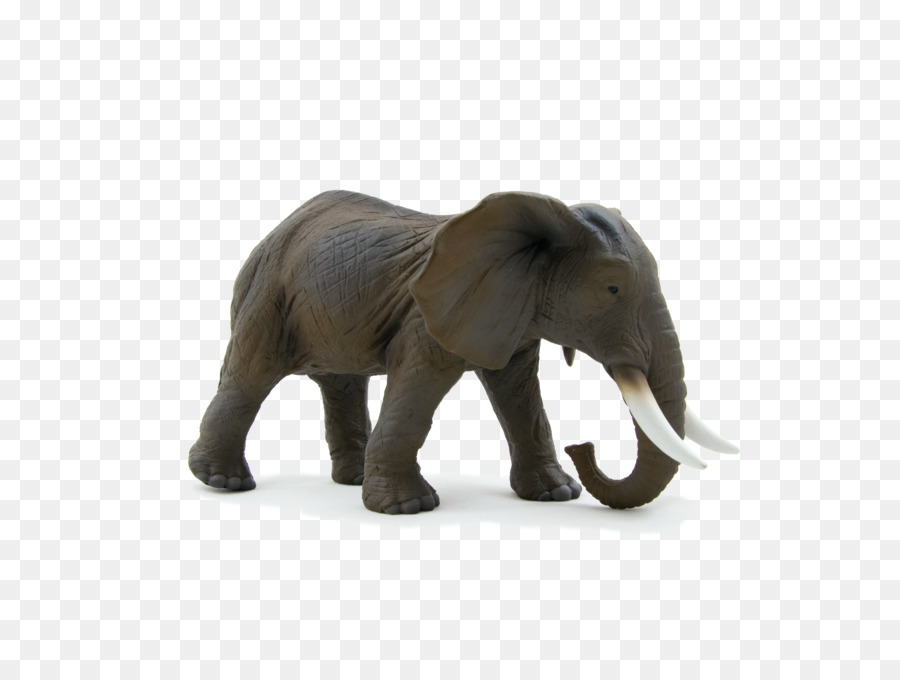 Éléphant De Savane D Afrique，Dromadaire PNG