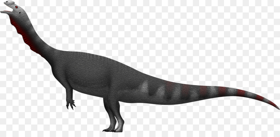Aardonyx，Le Tyrannosaure PNG