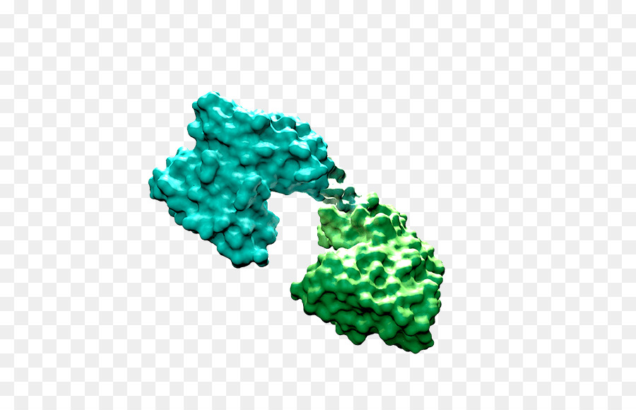 Bispécifiques Tcell Engager，Pharmaceutiques PNG