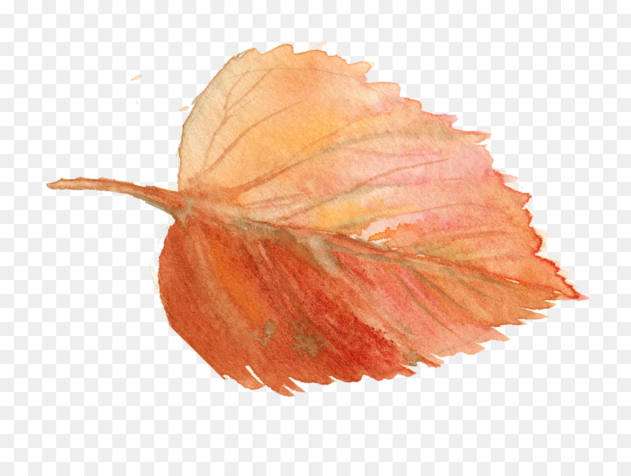 Feuille，Automne PNG