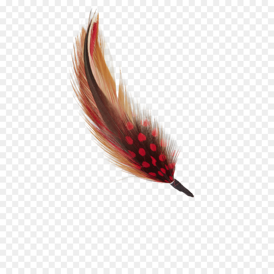 Plume，Oiseau PNG