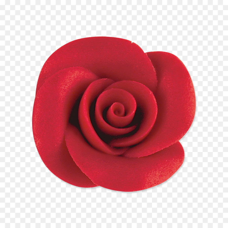 Rose Rose，Floraison PNG