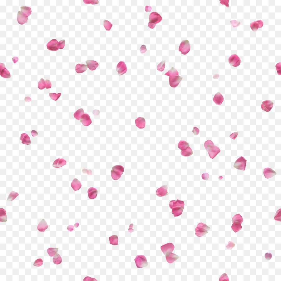 Confettis Coeur，Amour PNG