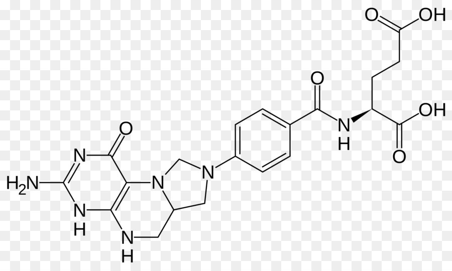510methylenetetrahydrofolate，Tétrahydrofolate Acide PNG