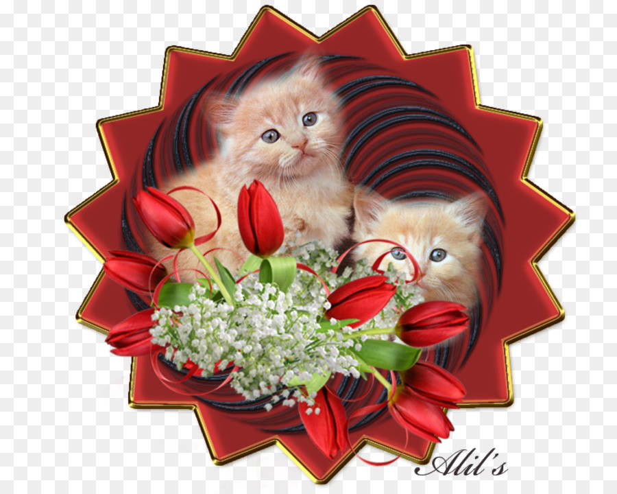 Chatons，Fleurs PNG