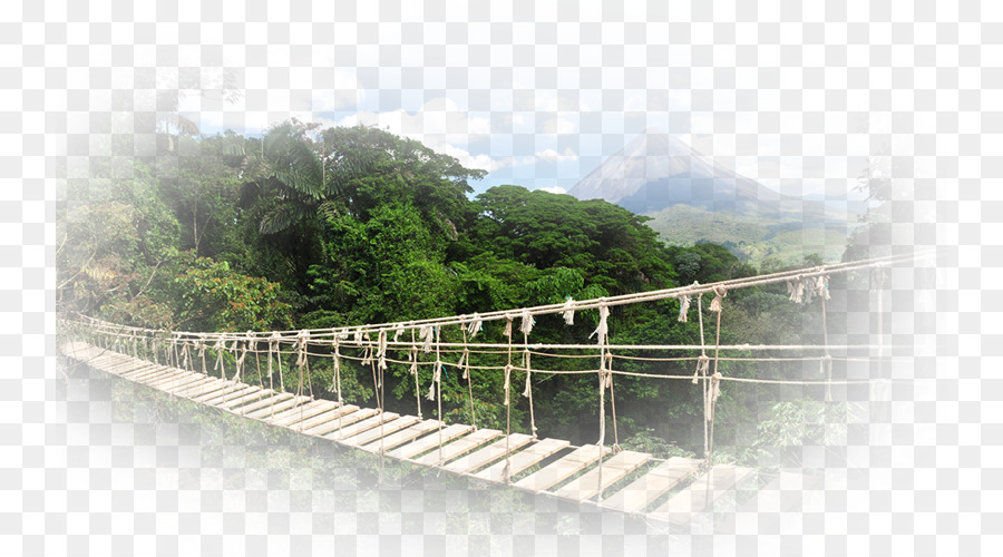 Monteverde，Voyage PNG