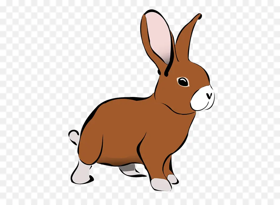 Lapin Brun，Oreilles PNG