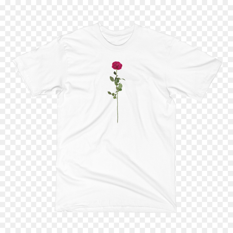 Tshirt，Manche PNG