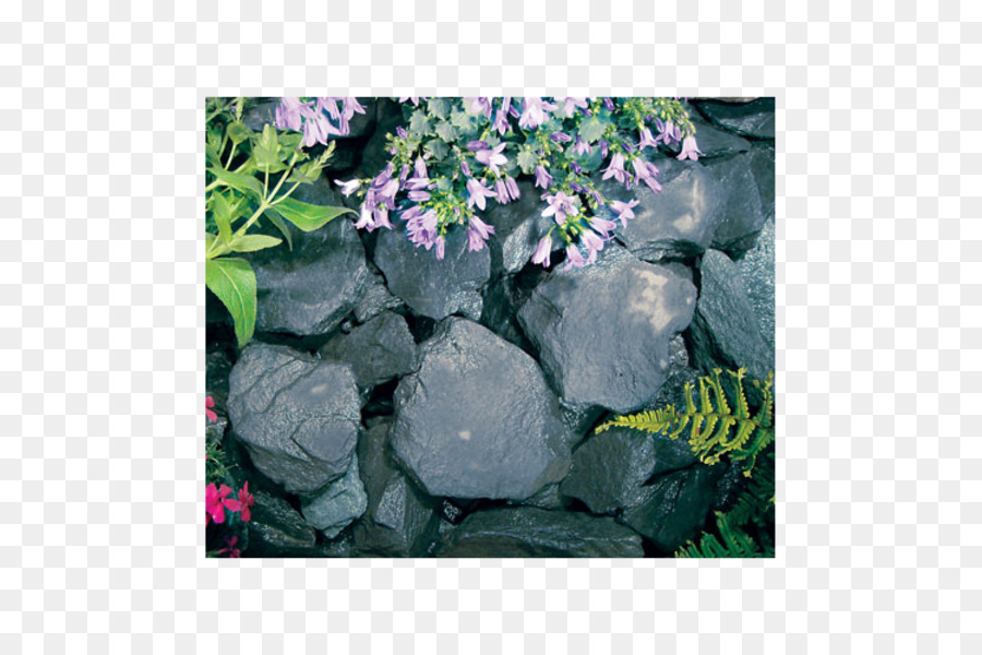 Hortensia，Rock PNG