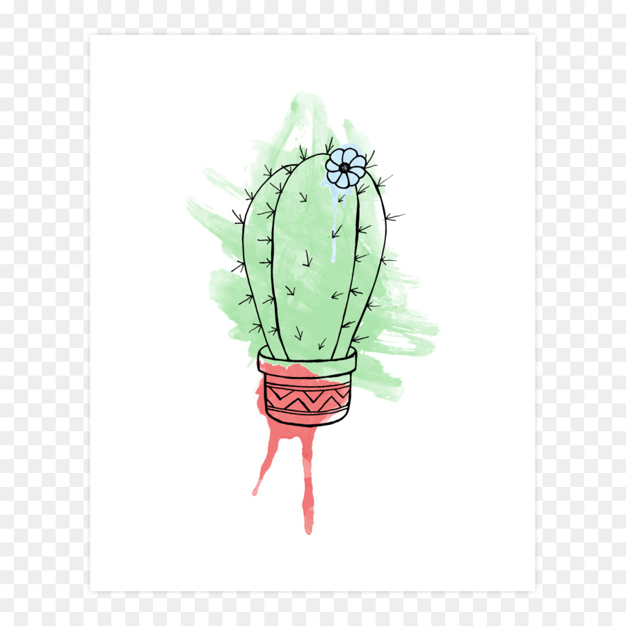 Cactaceae，Tshirt PNG