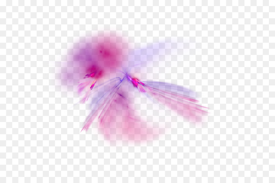 Oiseau Abstrait，Vol PNG