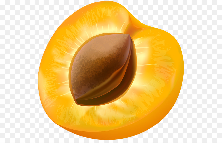 Abricot，Fruits PNG