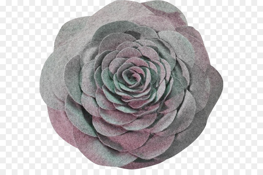 Les Roses De Jardin，Roses Centifolia PNG