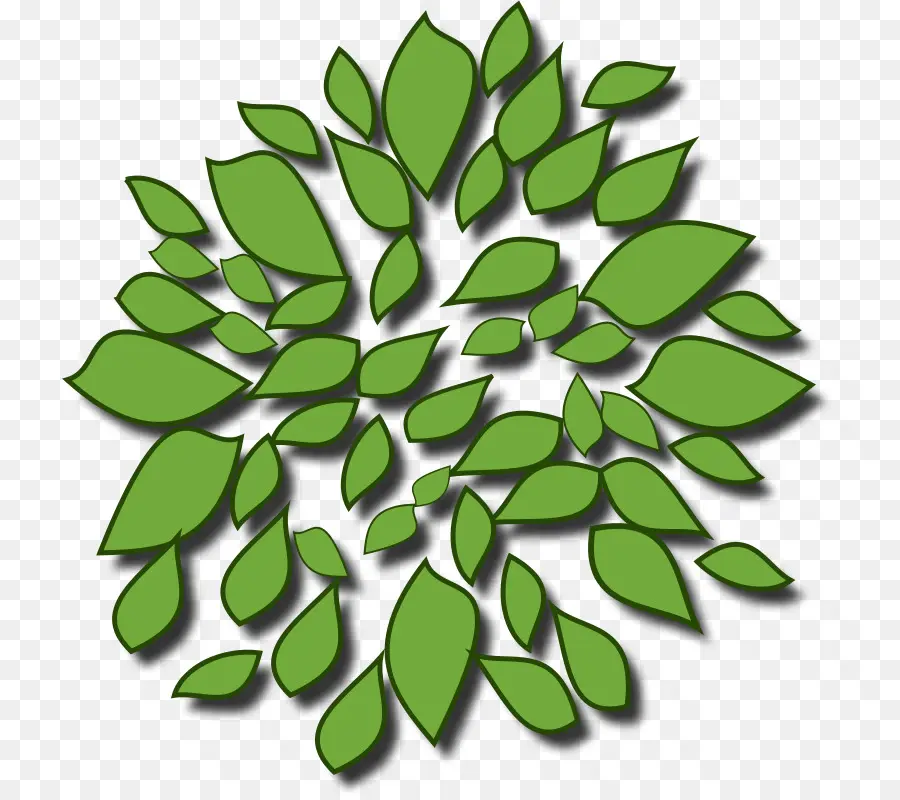 Feuilles Vertes，Feuillage PNG