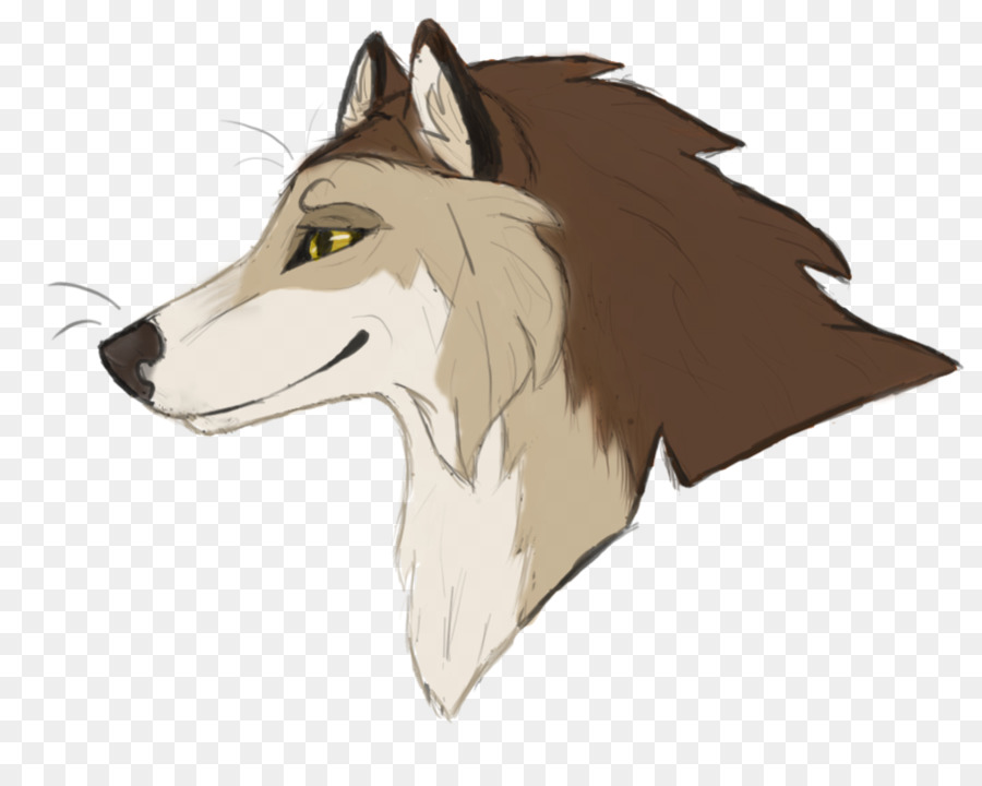 Loup，Sauvage PNG