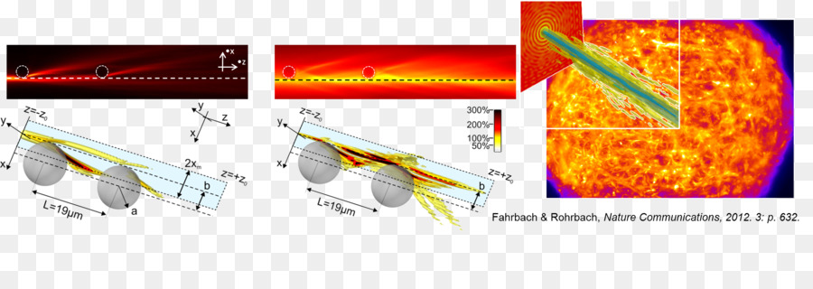 La Lumière，Faisceau De Bessel PNG