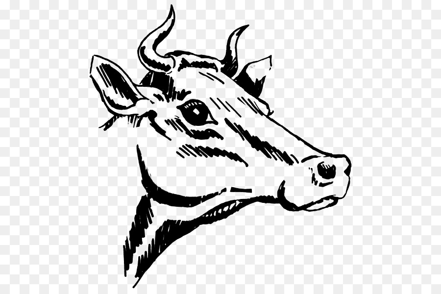 Tête De Vache，Animal PNG