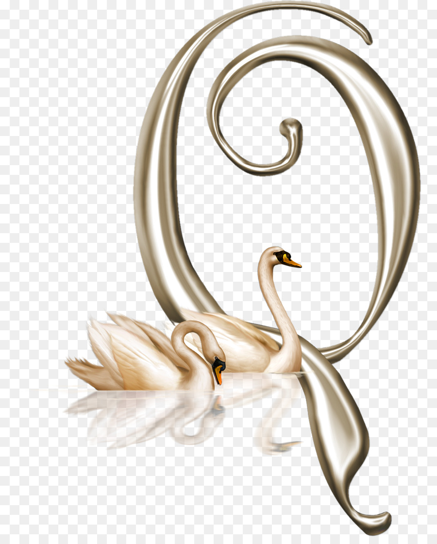 Lettre C，Cygne PNG