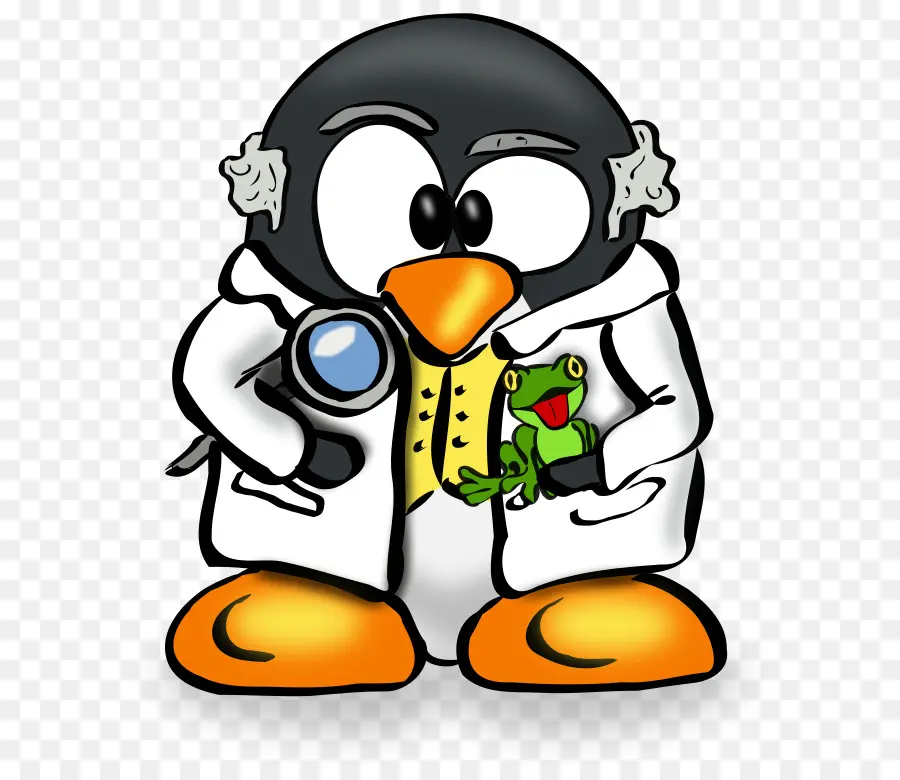 Scientifique Des Pingouins，Manchot PNG