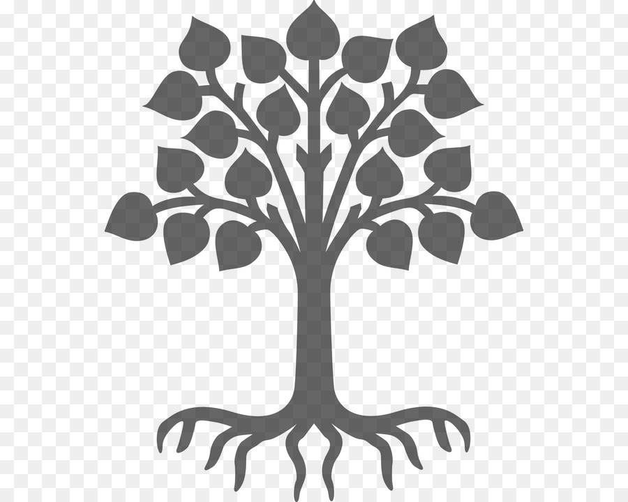 Arbre，Racines PNG