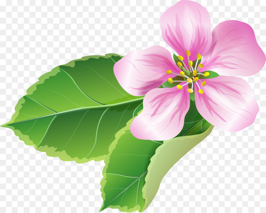 Fleurs，Fleurir PNG