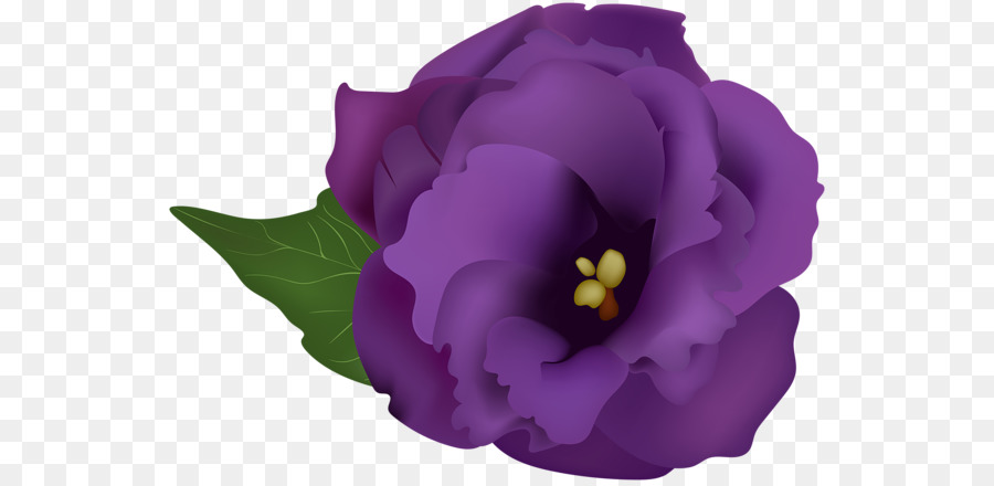 Fleur Violette，Feuilles PNG