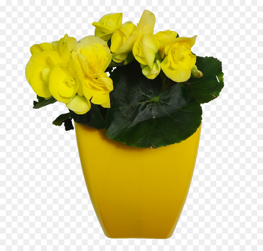 Flowerpot，Jaune PNG