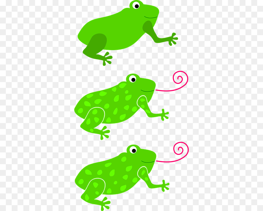 Grenouille，Ligne D'art PNG