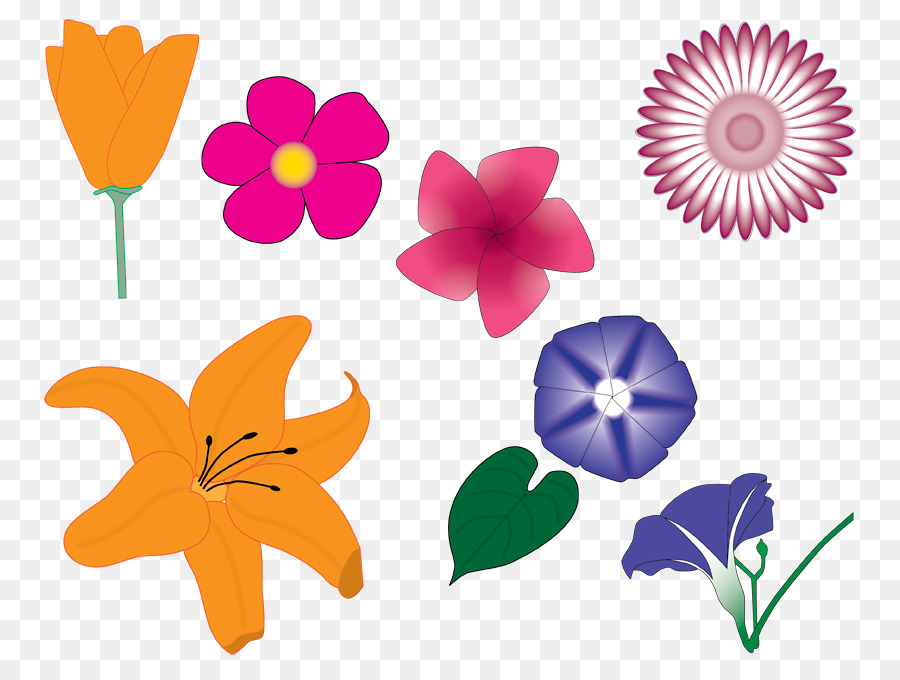 Fleurs，Feuilles PNG