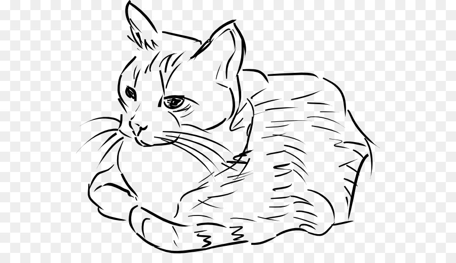 Croquis De Chat，Animal PNG